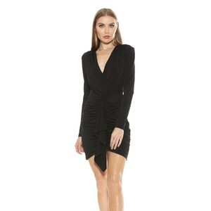 Alexia Admor Mini Dress